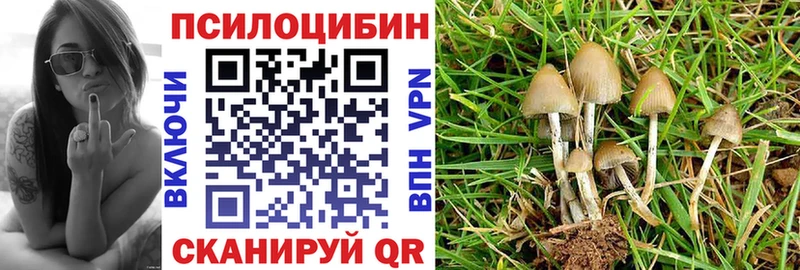 Псилоцибиновые грибы Cubensis  Купить закладки  Маркс 